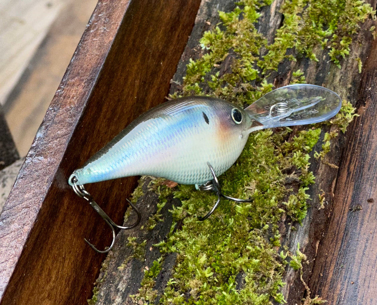 **1:1 LIMITED NEW ** RAPALA  DT-16 -  ‘ Chattahoochee Custom’ Herring