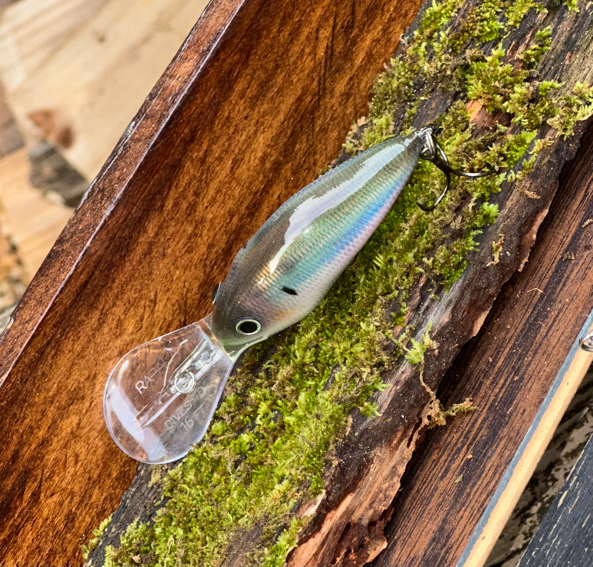**1:1 LIMITED NEW ** RAPALA  DT-16 -  ‘ Chattahoochee Custom’ Herring
