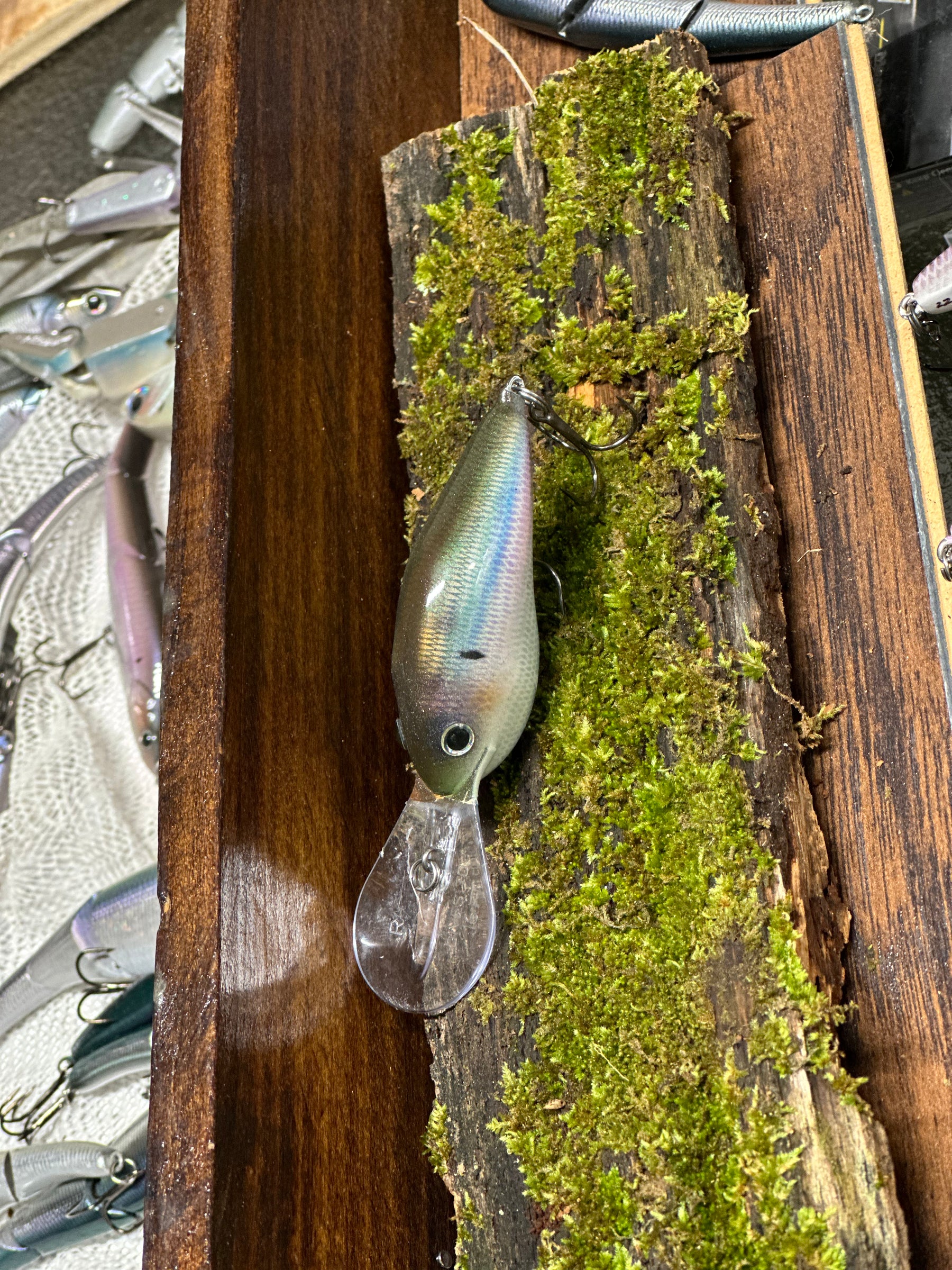 **1:1 LIMITED NEW ** RAPALA  DT-16 -  ‘ Chattahoochee Custom’ Herring