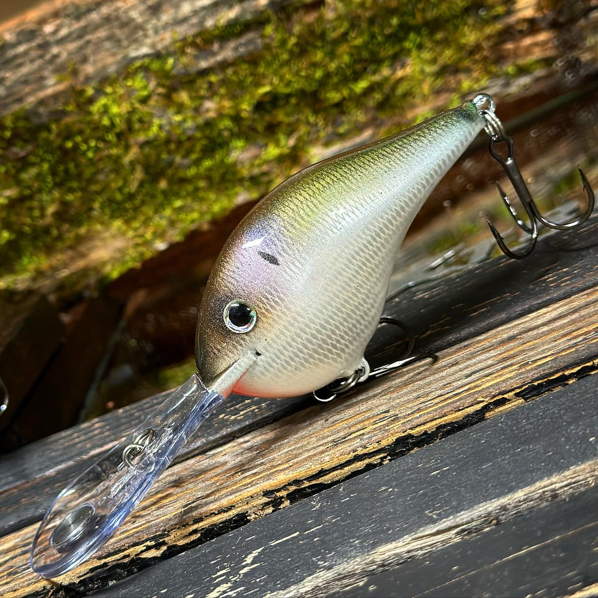 LIMITED *NEW ** RAPALA DT-20 ‘HOOCH GREEN’