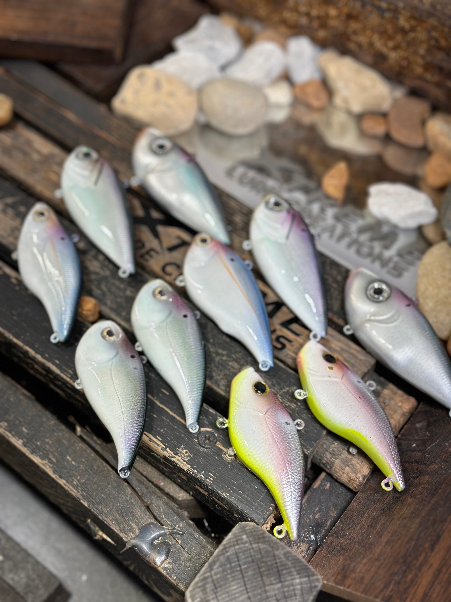 *DEAL* SET OF 10 MISC. LIPLESS -Shad (5/8 & up )