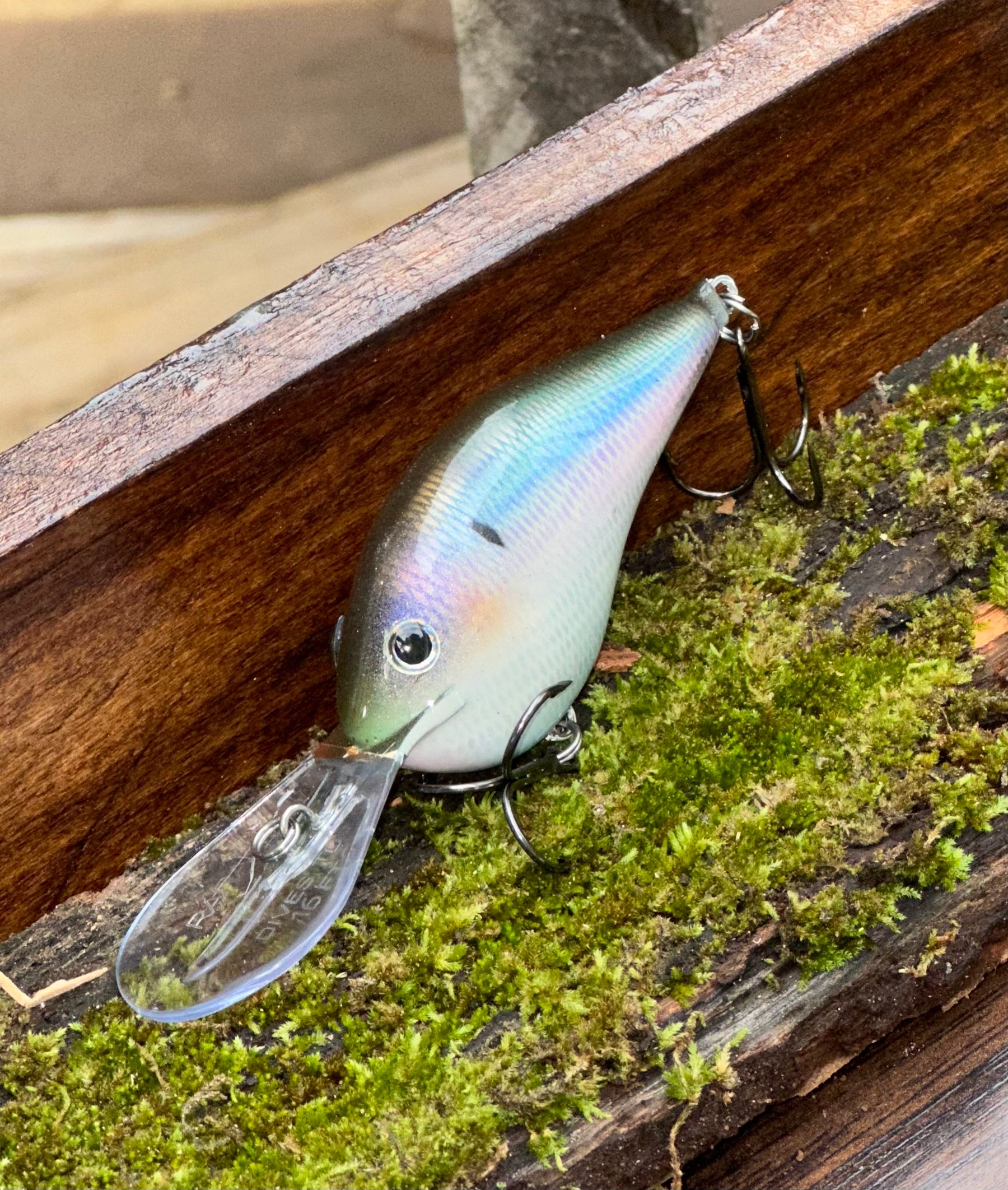 **1:1 LIMITED NEW ** RAPALA  DT-16 -  ‘ Chattahoochee Custom’ Herring