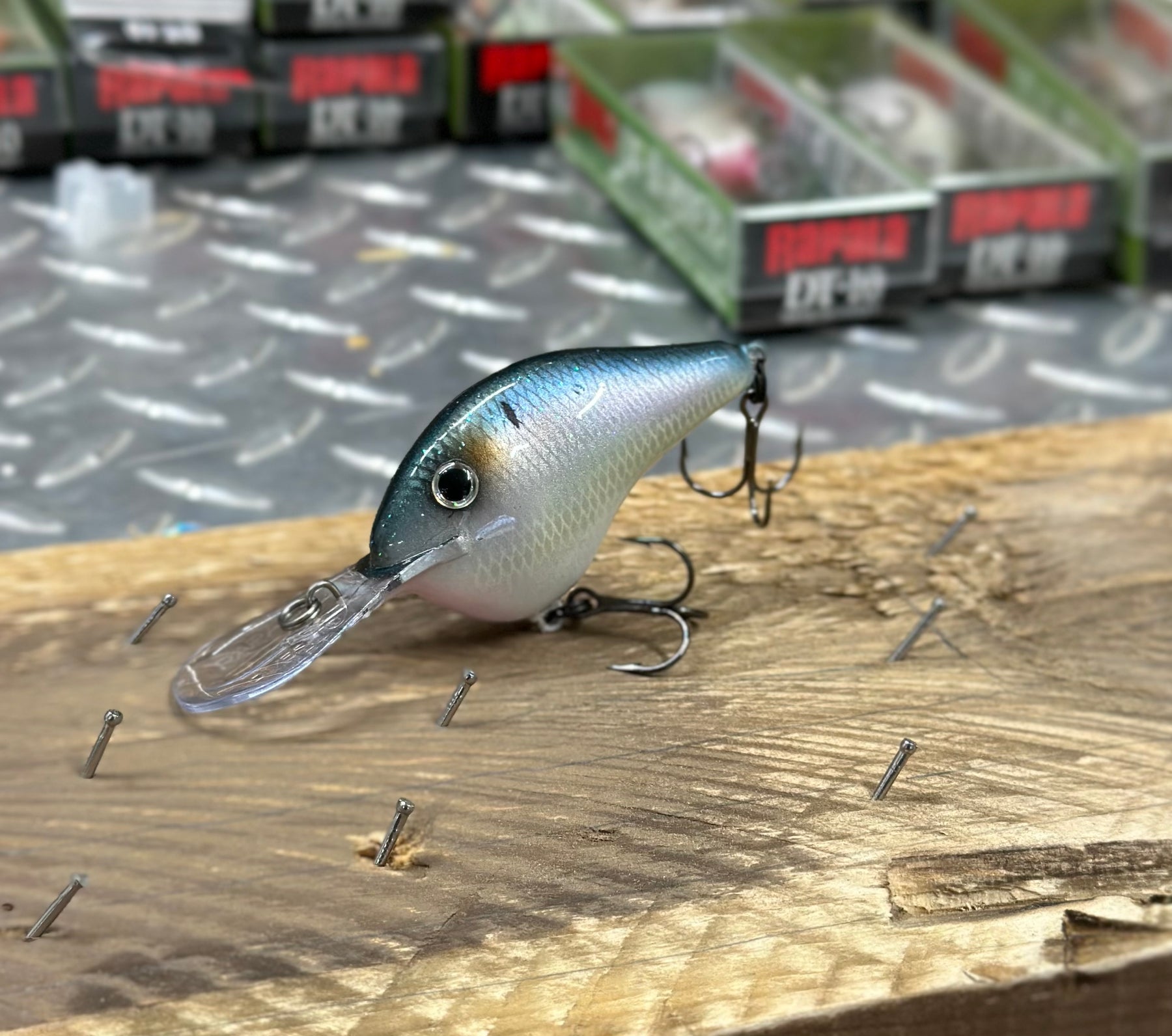 *NEW ** RAPALA  DT-10 ‘AMERICAN GIZZARD’