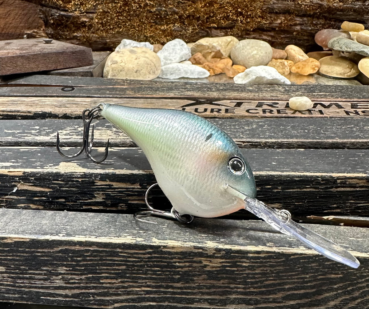 *NEW ** RAPALA  DT-16 ‘AMERICAN GIZZARD’