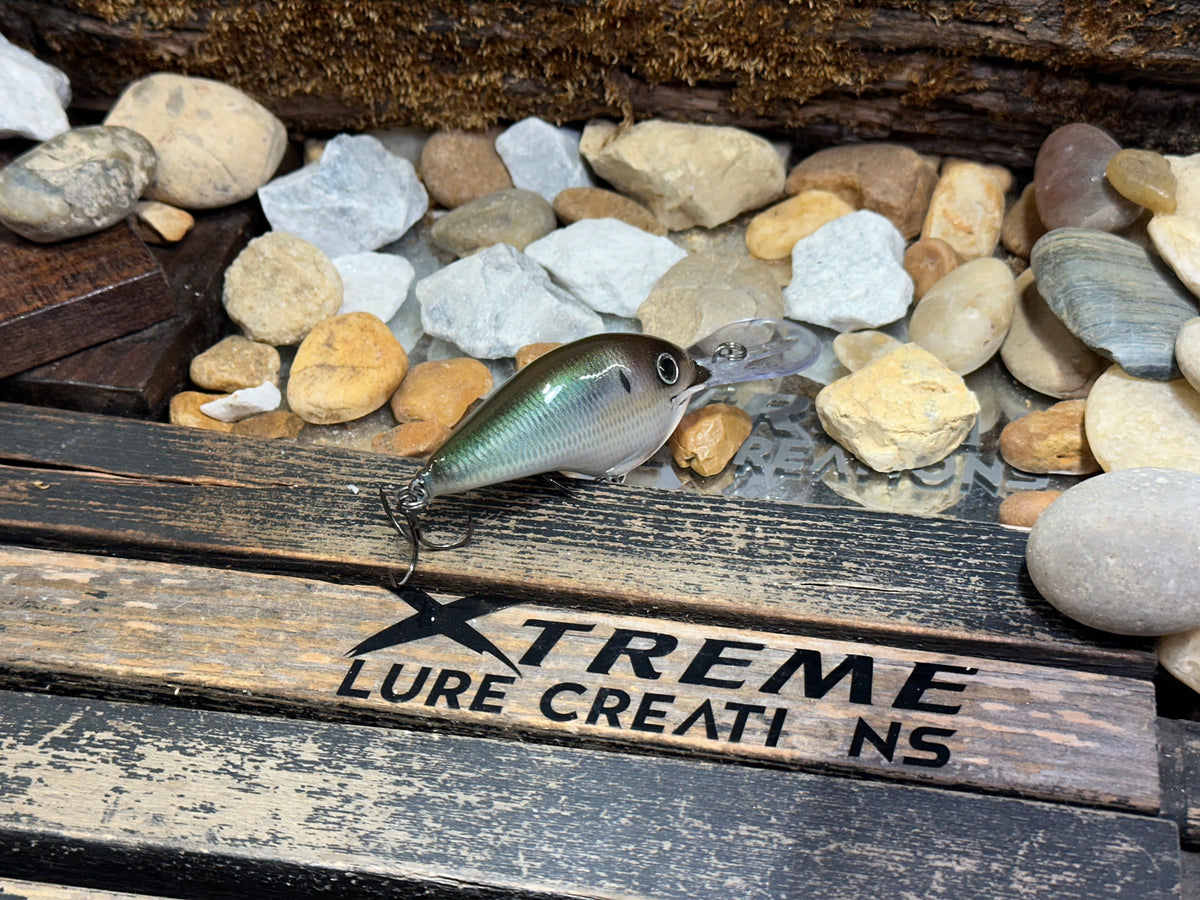 LIMITED *NEW ** RAPALA  DT-20 ‘HOOCH GREEN’