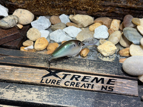 LIMITED *NEW ** RAPALA  DT-20 ‘HOOCH GREEN’