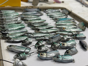 *EXCLUSIVE SCOUT PRO SET * 25 PC. VARIETY PACK SCOUTS- completed when ordered