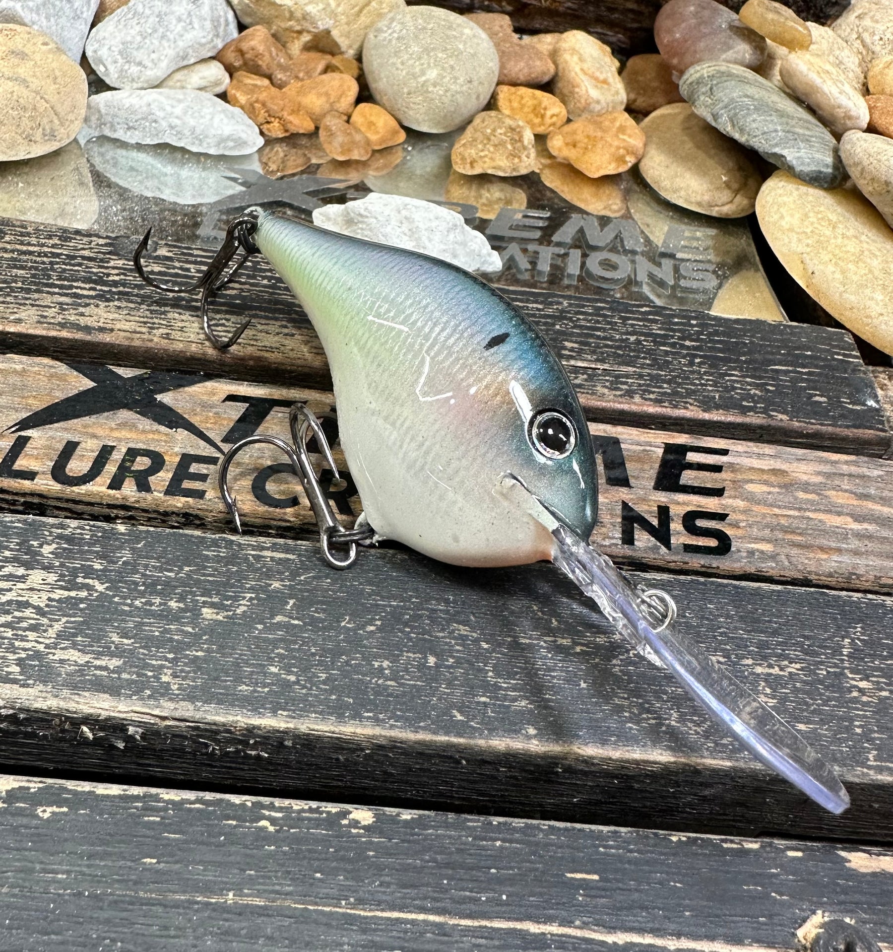 *NEW ** RAPALA  DT-16 ‘AMERICAN GIZZARD’