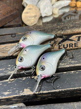 *Special 3 Lures*  Bill Lewis - MR-6 -SET OF 3-  GA HERRING