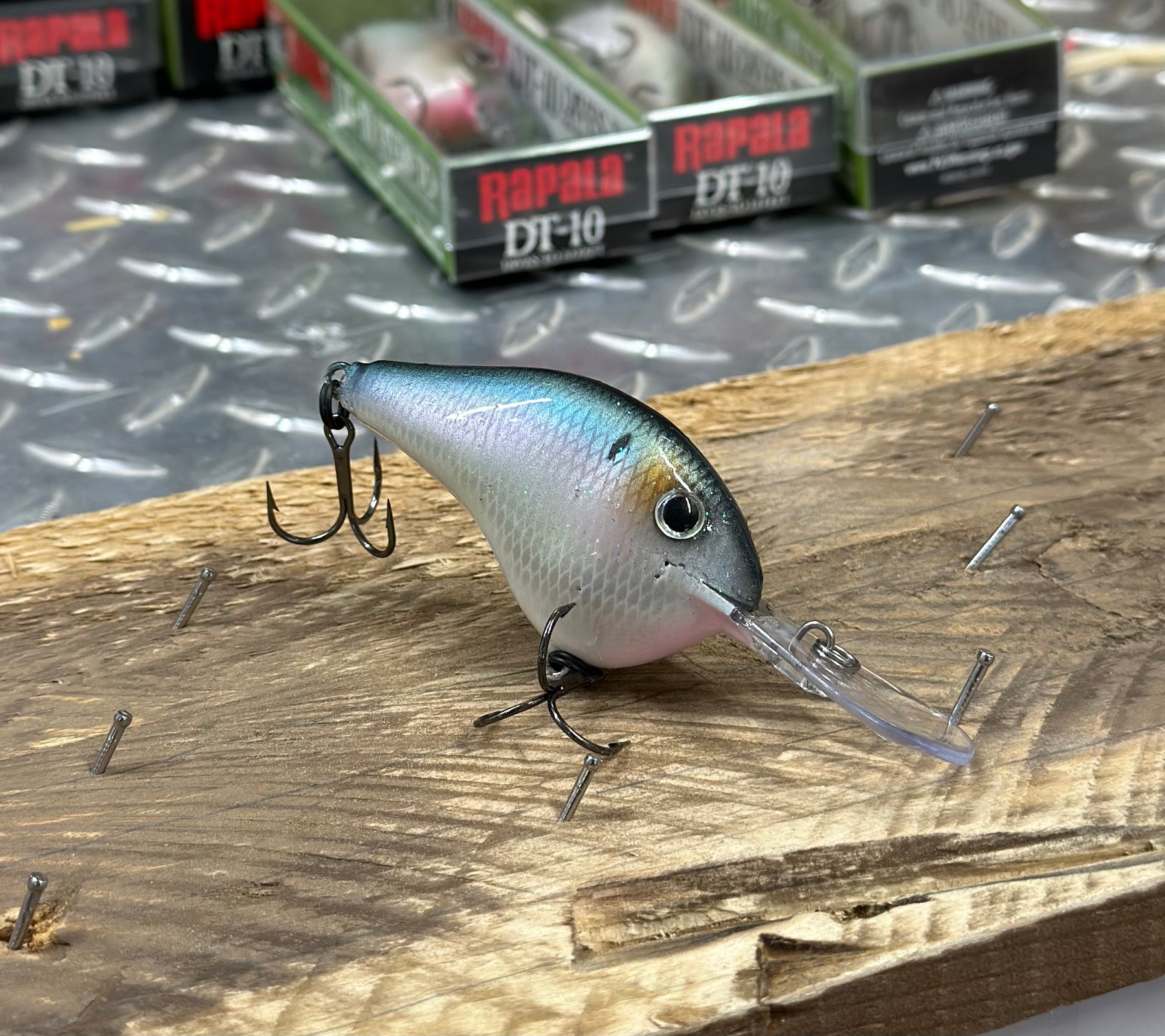 NEW ** RAPALA DT-10 'AMERICAN GIZZARD