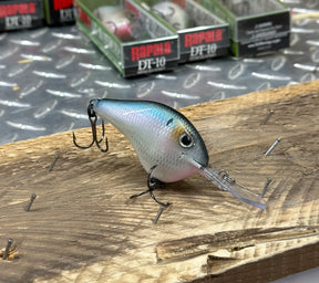 *NEW ** RAPALA  DT-10 ‘AMERICAN GIZZARD’