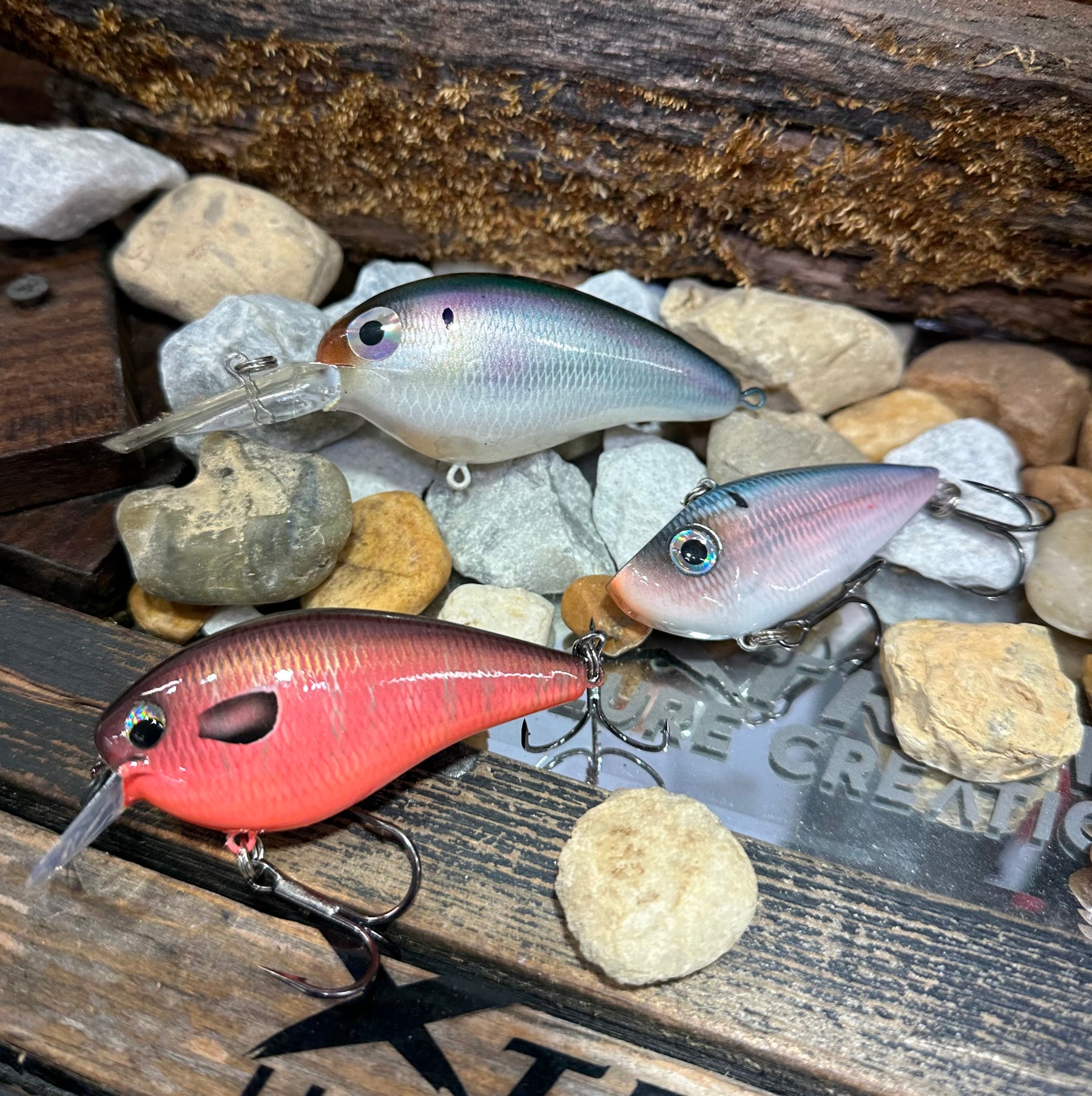 1 AVAILABLE CRANK SET- Strike King - KVD 2.5 . RED EYE SHAD NORMAN DD14