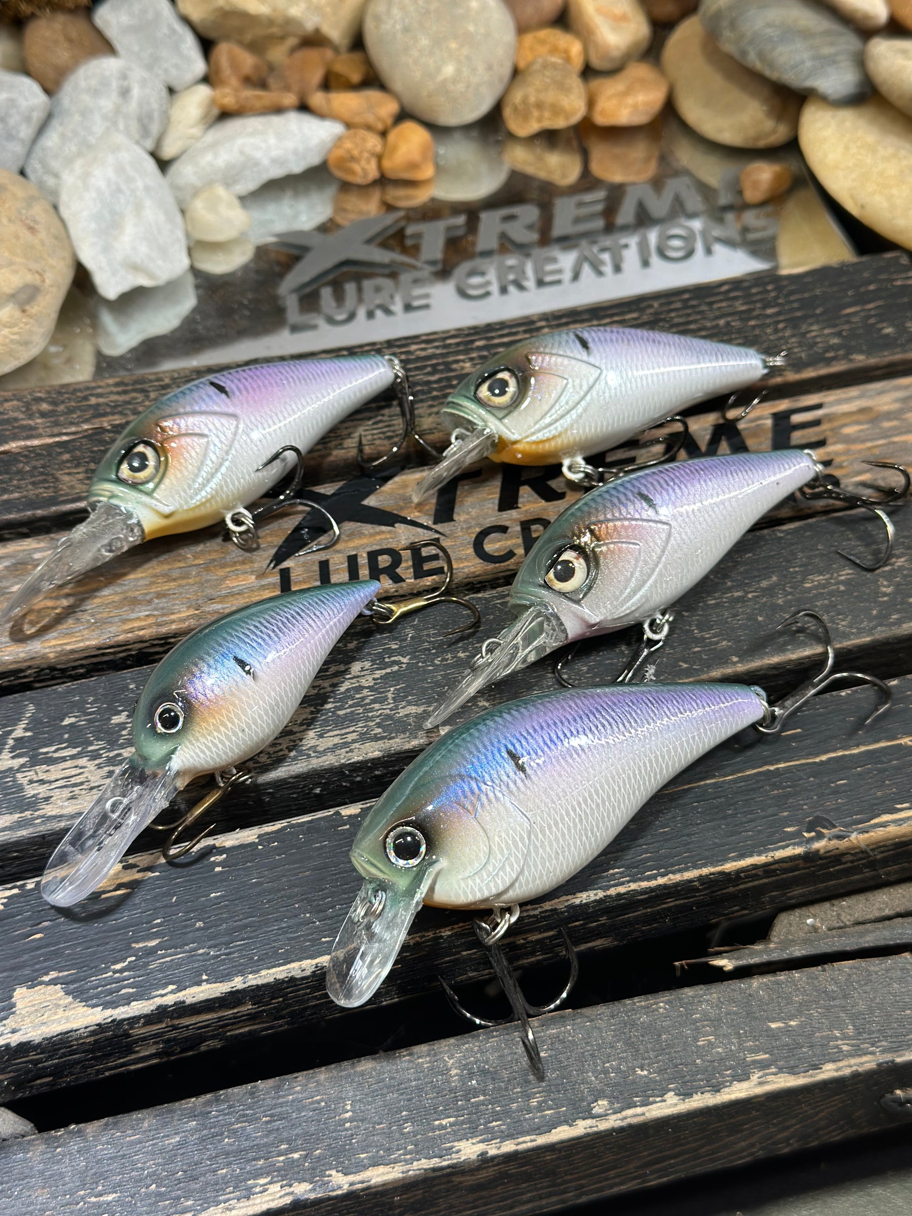 * NEW * CRANKBAIT SET 5 LURES  - LANIER HERRING