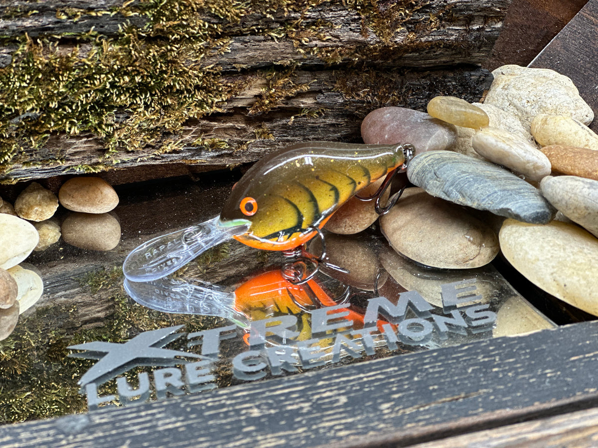 *Special * RAPALA  DT-8 -  ‘SPICY MUSTARD’