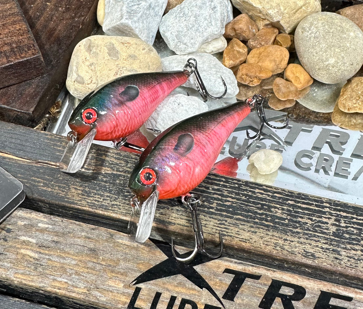 **NEW *2 LURES * BERKLEY SQUAREBULL - RED DEMONGILL