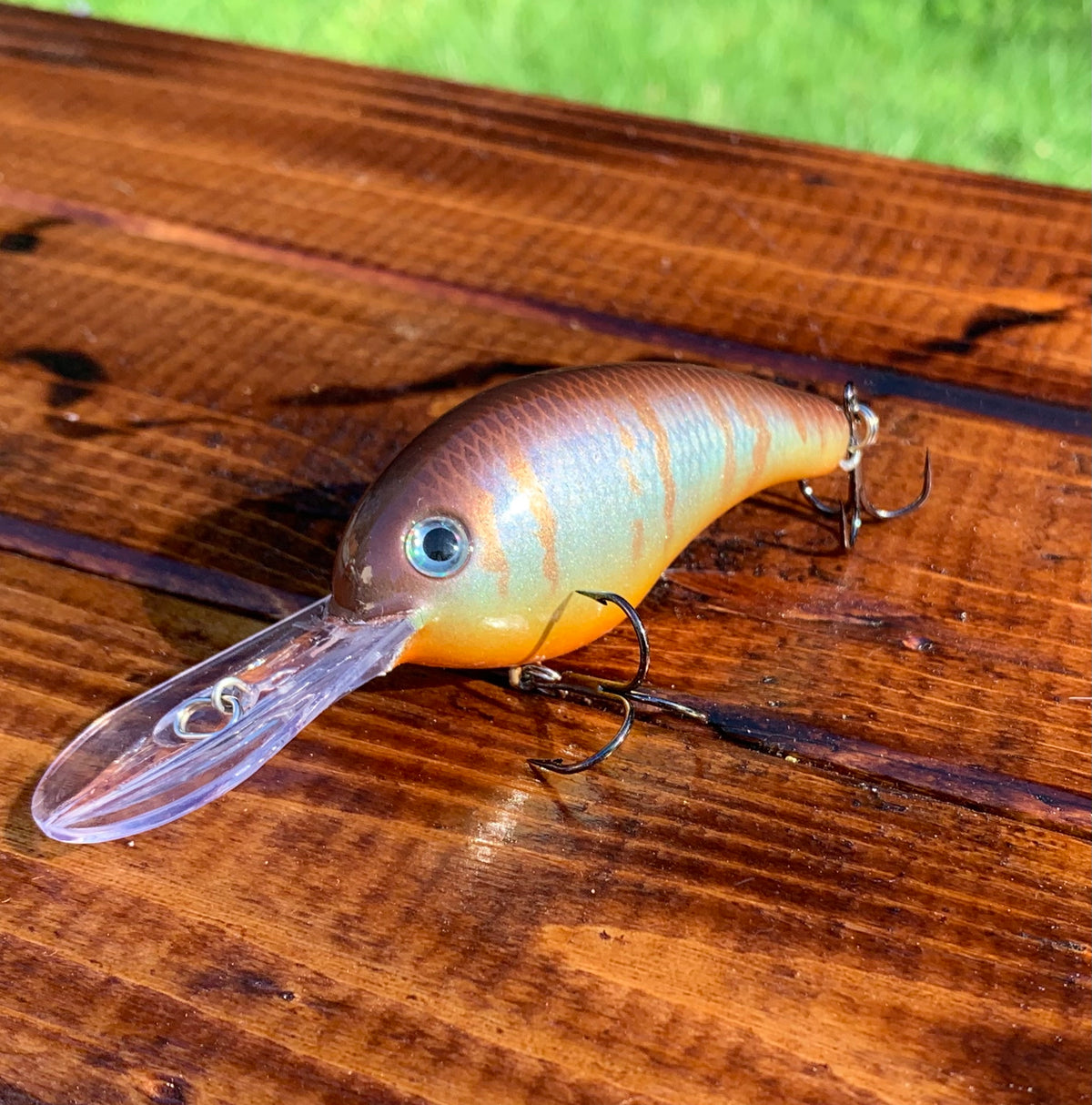 *NEW* Strike King Series 5 - Copper sunfish